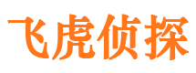 湖南市侦探公司